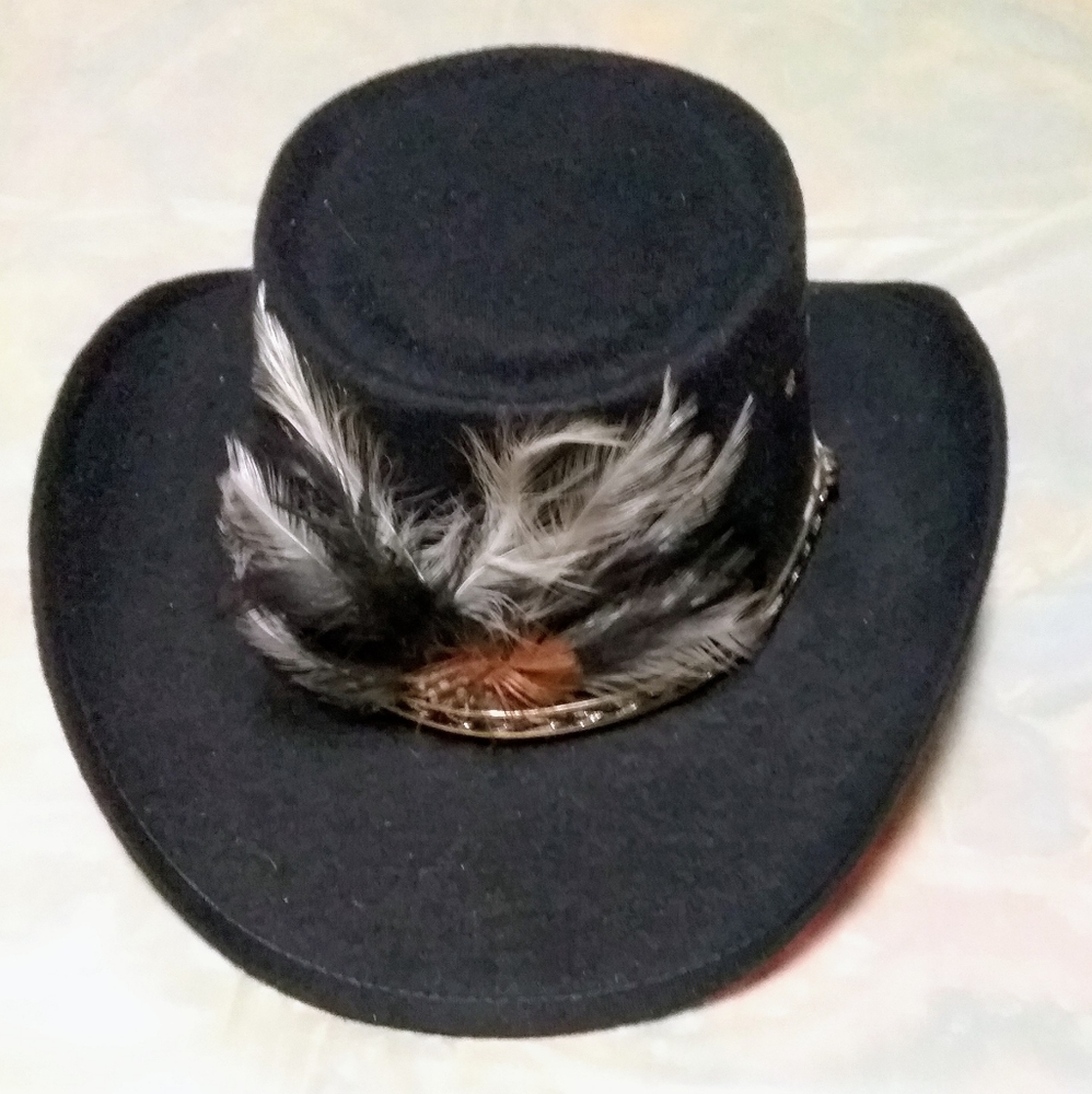 Cowboy hat 🤠